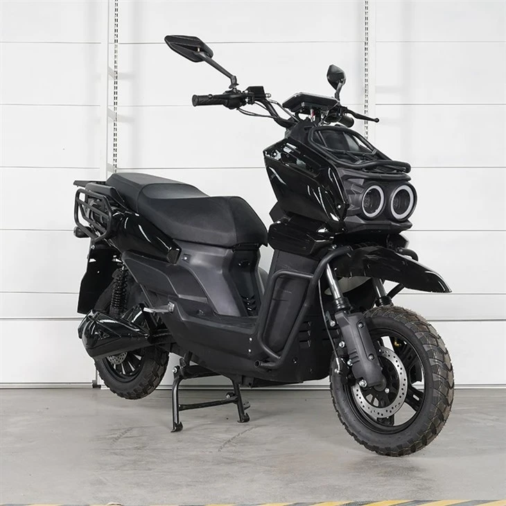 E Bike Motorcycle for Adult2