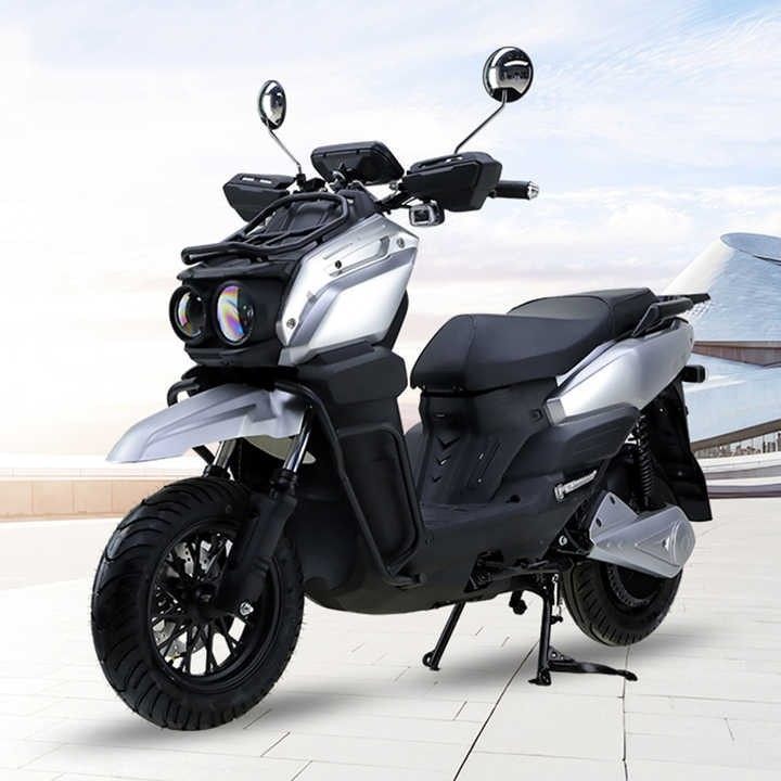 E Bike Motorcycle for Adult6