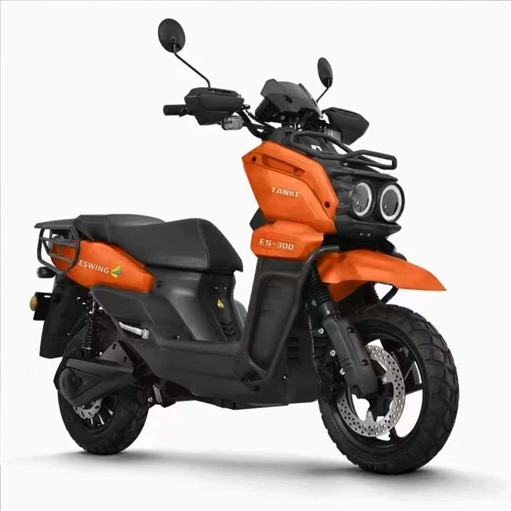 E Bike Motorcycle for Adult5